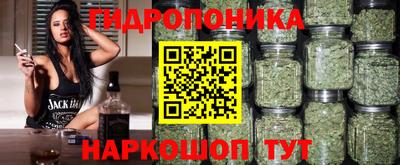 Альфа ПВП Гай