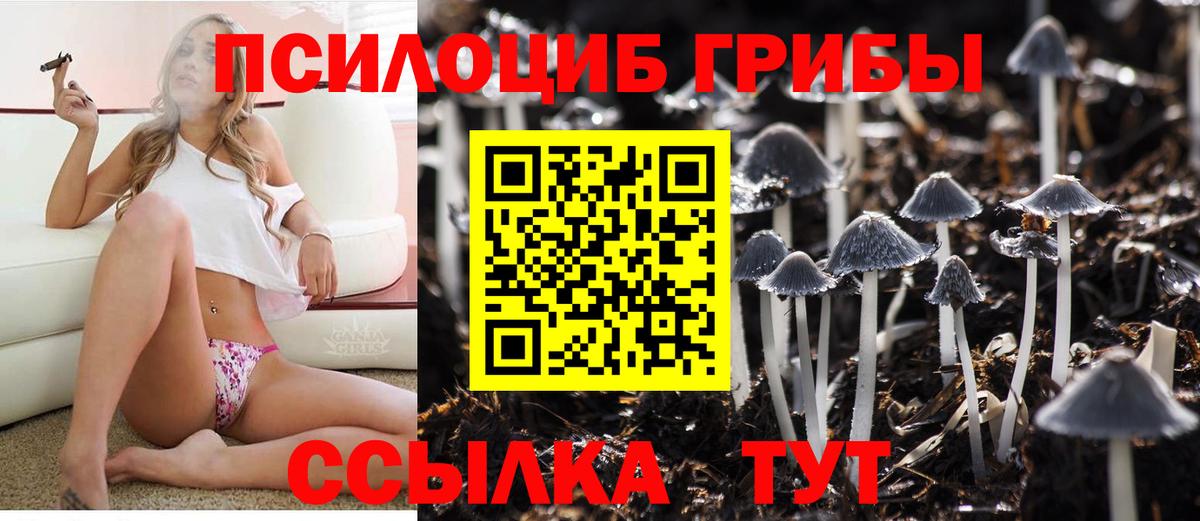 Галлюциногенные грибы мицелий  Псилоцибиновые грибы GOLDEN TEACHER  Бахчисарай  Вход с VPN 